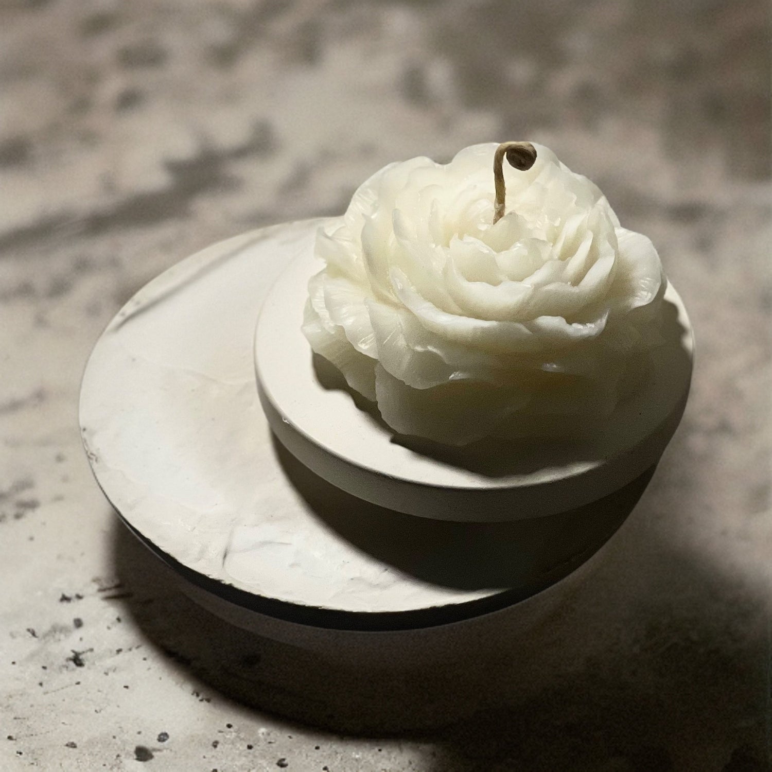 WildFlower Collection